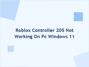 Roblox Controller 205 Not Working on Windows 11 Pc